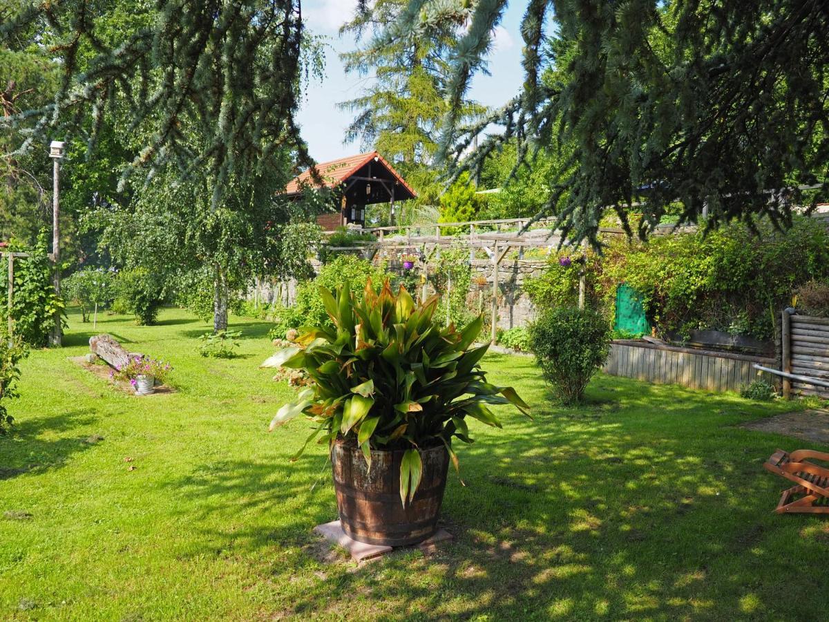 Rechicourt-le-Chateau Manoir Le Refuge Bed & Breakfast エクステリア 写真